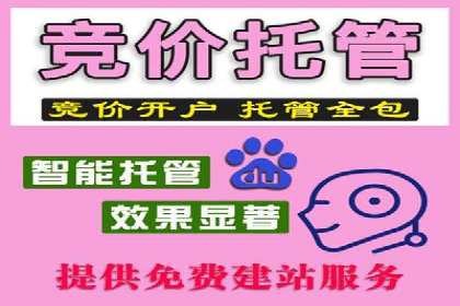 解析SEM推广代运营公司的成功案例及效果